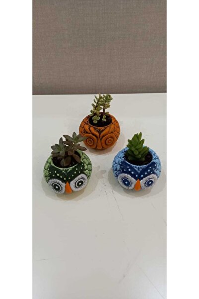 GÜNCE HOBİ Baykuş Set 3 Adet