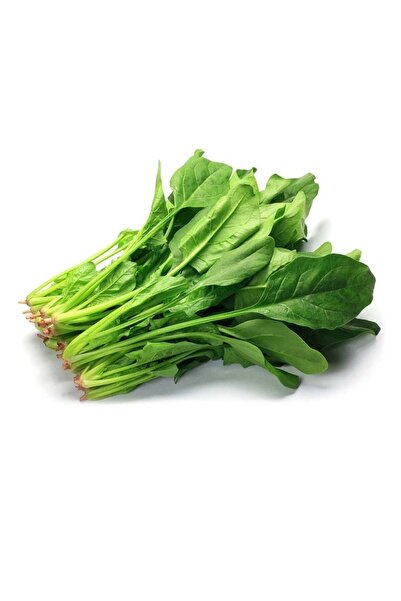 Genel Markalar Taze Ispanak 1 kg