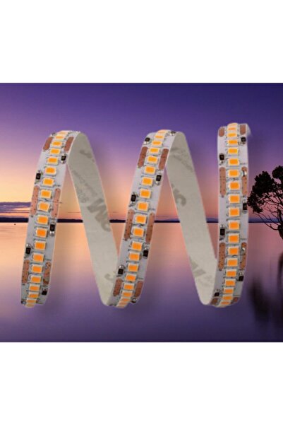 Cata Çipli Yüksek Lumen Şerit Led Günışığı Renk Ct-4538 Gold İç Mekan 12 W 240