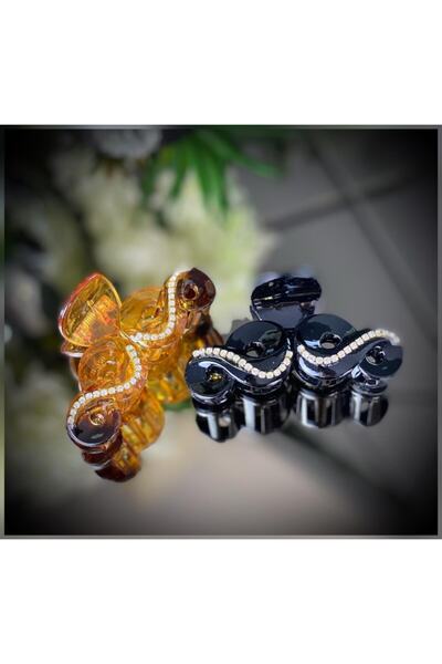 QUEEN AKSESUAR Special Classic Comb Latch Clip Crystal Stone Large Luxury Buckle Set of 2 Black Brown