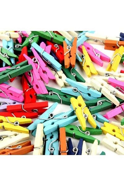 FZ Set of 100 Tiny Pegs