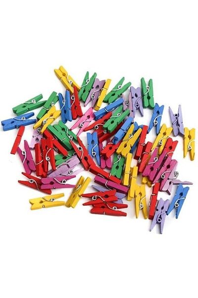 FZ Set of 100 Tiny Pegs