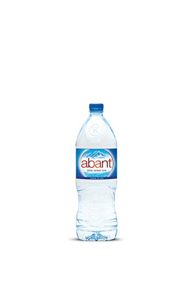 Abant 1,5 Litre Pet Su 12 Adet