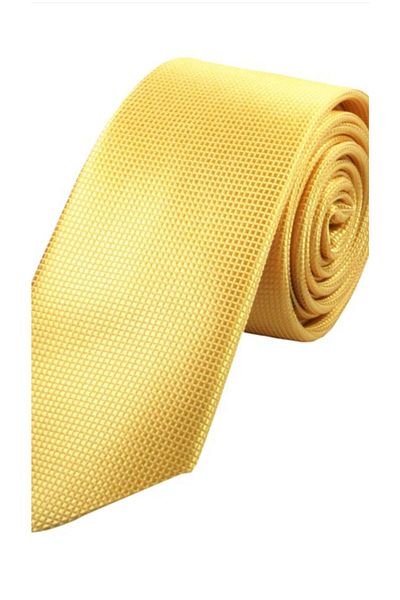 Tempee Thin Tie with Handkerchief