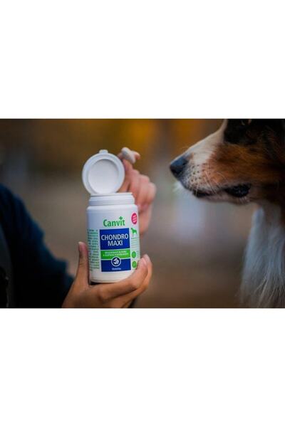 Canvit Chondro Maxi Eklem Güçlendirici Köpek Vitamini 1000 Gr