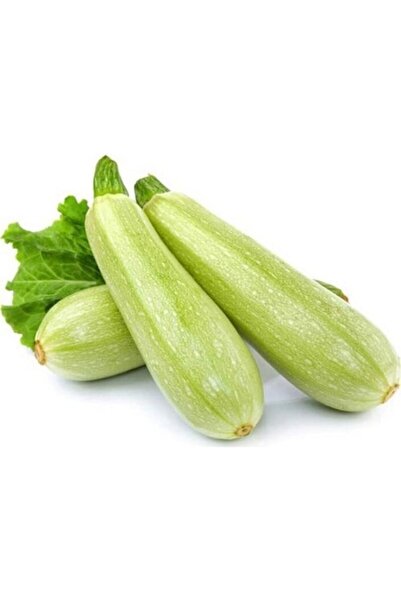 Karahasanoğlu Tarım Yerli Beyaz Sakız (DOLMA) Kabak Tohumu (KOLSUZ) 10 gr (OR...