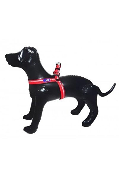 Lüx Ayarlanır Köpek Göğüs Tasması 2,5cm Kalınlıkta, Gövdesi 57-65cm