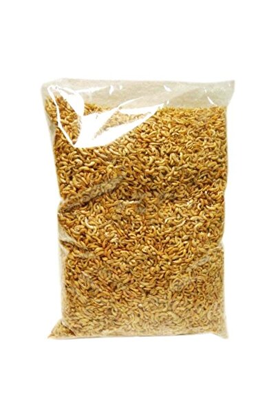 Maxisol Kurutulmuş Karides Gammarus 100 gr