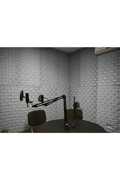 Eryapı Siyah Ses Yalıtımı Akustik Labirent Sünger 30 mm 50 dns Ebat 100x100 1m2