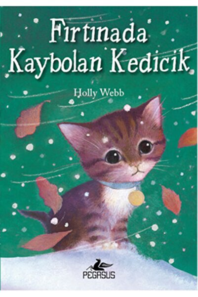 Pegasus Yayınları Fırtınada Kaybolan Kedicik - Holly Webb