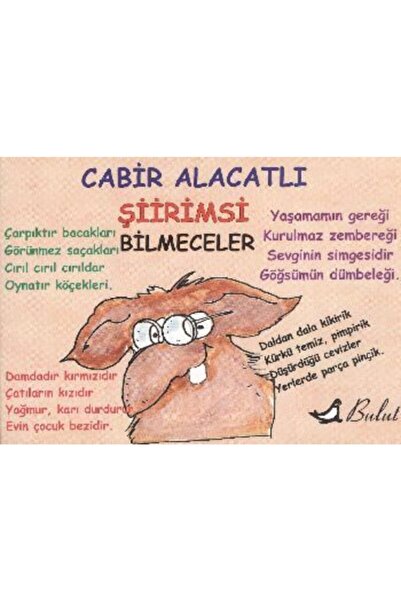 Bulut Yayınları Şiirimsi Bilmeceler
