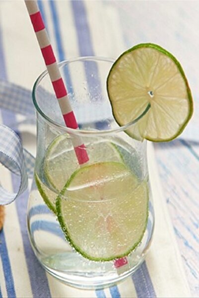 Paşabahçe 420042 Naturel 6 Lı Su Bardağı 280cc