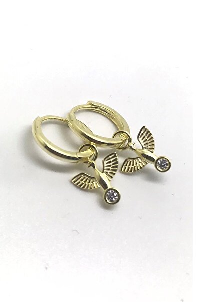 Erer Gümüş Gümüş Kuş Model Halka Küpe Dlp9