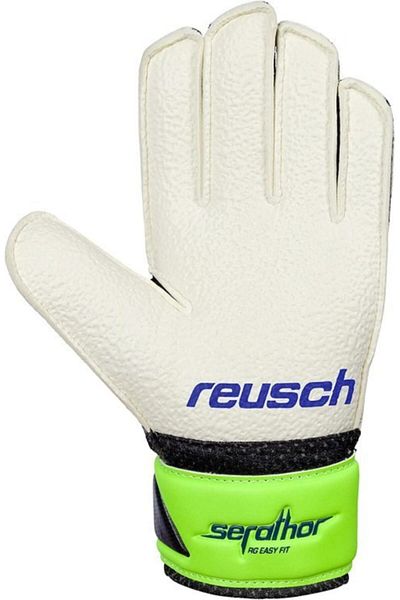 Reusch Professional Goalie Gloves