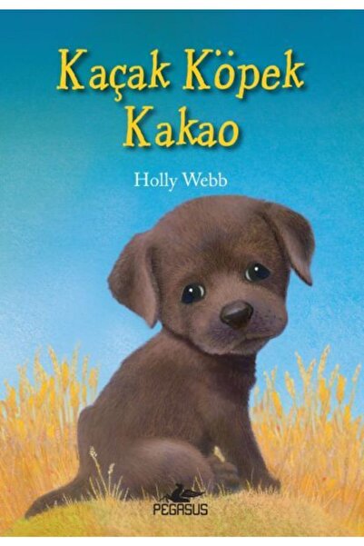 Pegasus Yayınları Kaçak Köpek Kakao - Holly Webb