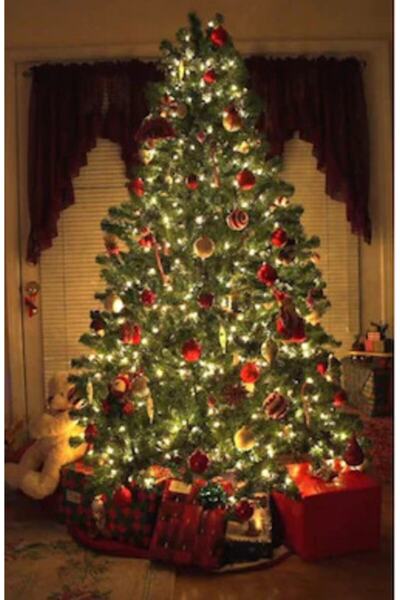 NEWSTORE HOME Led 10 Metre 100 Ledli Eklenebilir Ip Led Işık - Yılbaşı Süsü 1...