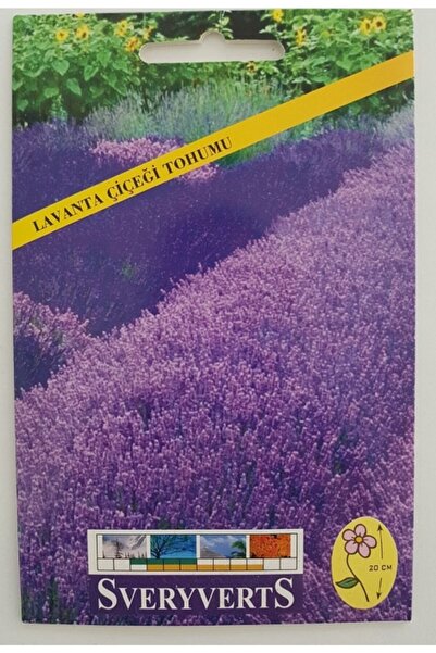 Ekodoğa Lavanta Tohumu 3 Paket (30-40 Adet Tohum) Kokulu Lavanta Doğal Lavant...