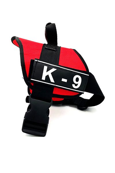 Tasma Market Red K9 Dog Collar Dog Collar