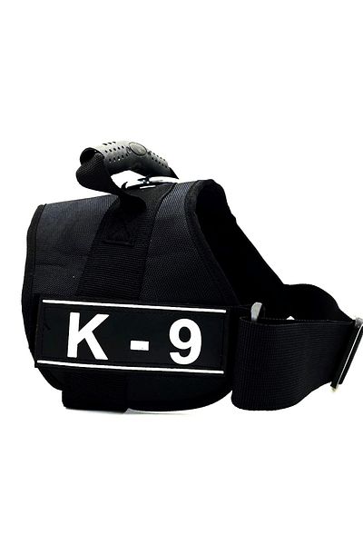 Tasma Market Black K9 Dog Collar Dog Collar