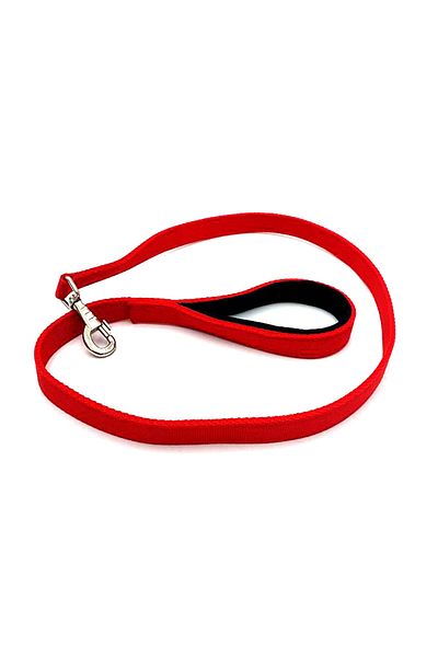 Tasma Market Red Column Dog Walking Collar