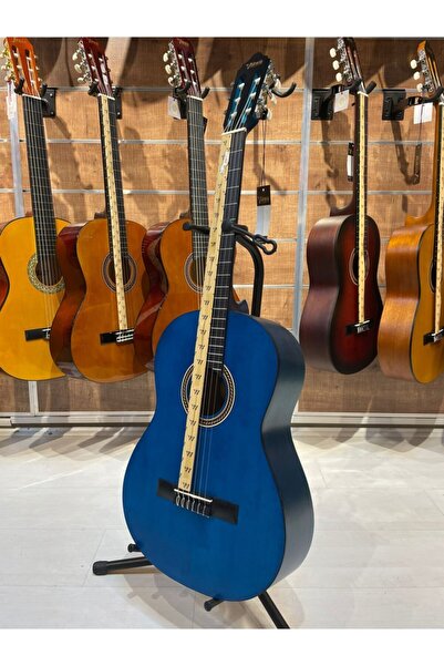 VALENCIA Vc204tbu 4/4 Transparent Blue Mat Klasik Gitar Kılıf Ve Pena