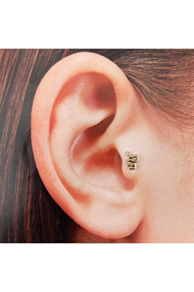 Yılan Tragus Altın Küpe