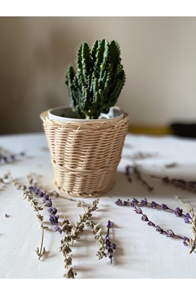 Garaj Home Rattan Saksılık