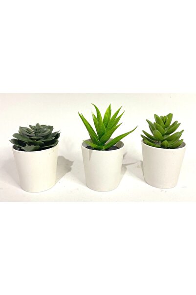 RAF Store Fejka Kaktüs 3 Lü Set 6 Cm Yapay Bitki Çiçek Saksılı Kaktüs