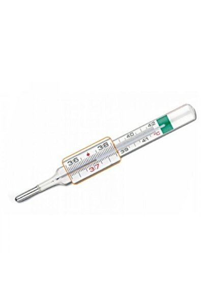 MEDİKAL Pic Vedo Eco Plus Civasız Cam Derece