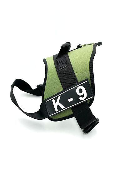 Tasma Market Khaki Green K9 Dog Collar Dog Belt
