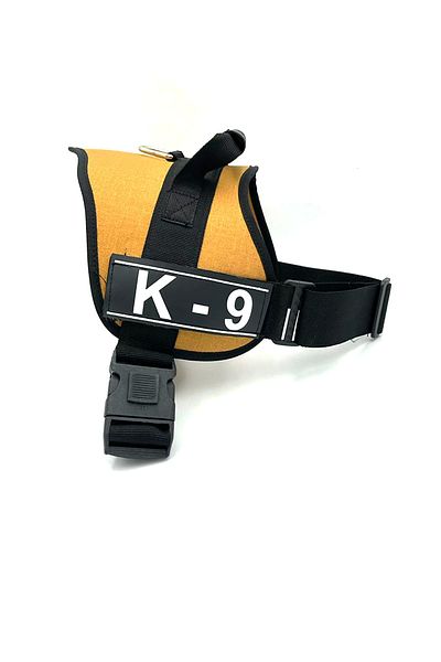 Tasma Market Mustard K9 Dog Collar