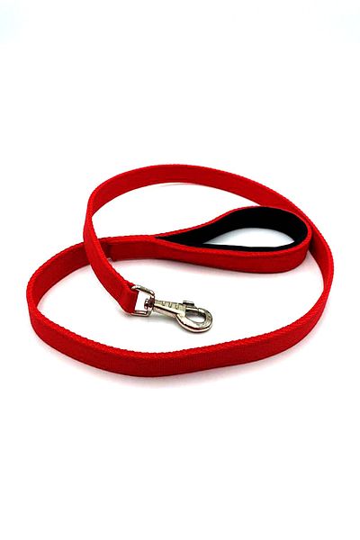 Tasma Market Red Column Dog Walking Collar