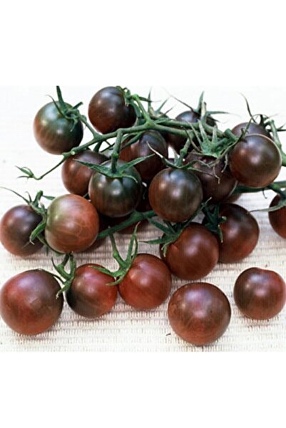 Genel Markalar 10 Adet Çikolata Kiraz Domates Tohumu