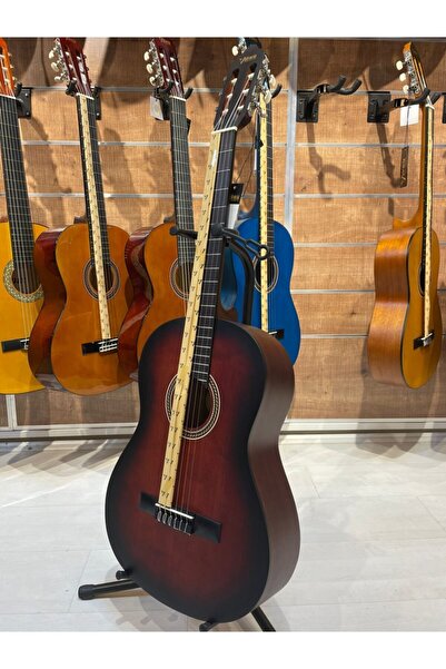 VALENCIA Vc204 4/4 Vintage Sunburst Mat Klasik Gitar - Kılıf ve Pena