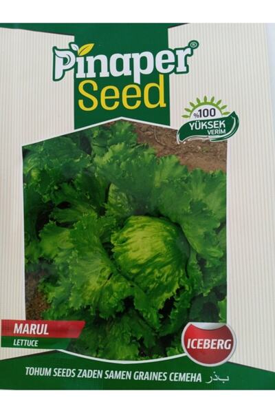 Asenya Iceberg Tohumu 1 Paket Marul Tohumu Göbek Marul Sebze Tohumları