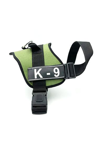 Tasma Market Khaki Green K9 Dog Collar Dog Belt