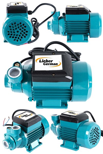 Lieber German Qb70 Tam Bakır Sargılı 1.5 Hp 0.9 Kw Bakır Sargılı Santrifüj Hidrofor Su Pompası 1 Inc