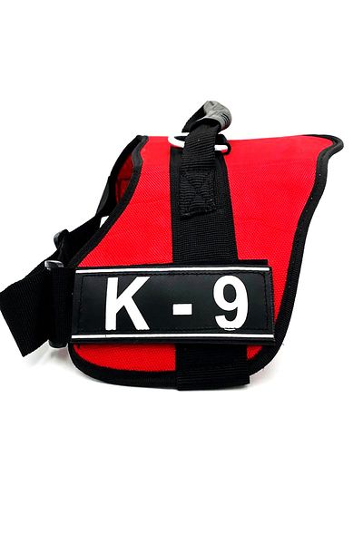 Tasma Market Red K9 Dog Collar Dog Collar
