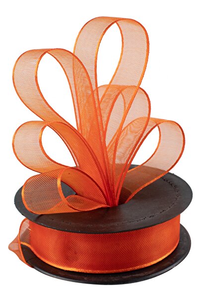 Kına Atölyesi شريط زخرفي شيفون 20 متر 2.5 سم