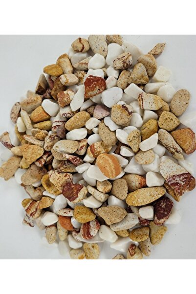 Asenya Renkli Çakıl Taşı 2 Kg 1-2 Cm Saksı Dibi Teraryum Saksı Süs Vazo Dibi Dekoratif Dolomit Taş