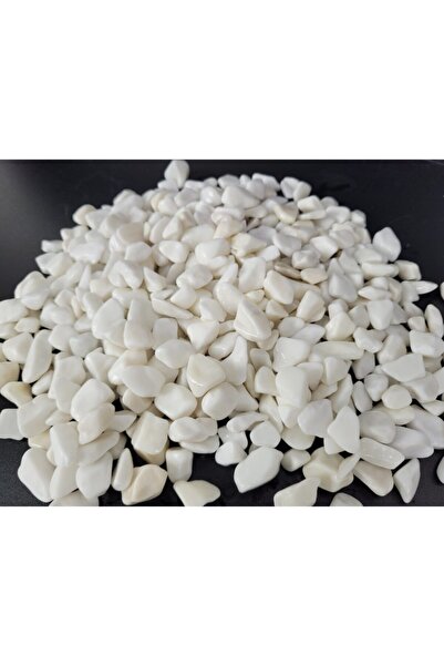 Asenya Beyaz Çakıl Taşı 5 Kg 1-2 Cm Saksı Dibi Teraryum Saksı Süs Vazo Dibi Dekoratif Dolomit Taş