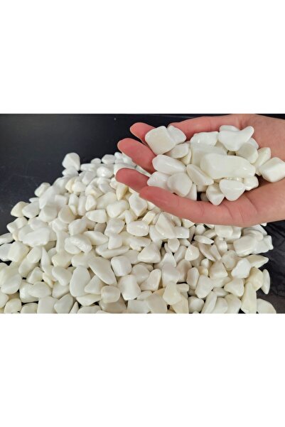 Asenya Beyaz Çakıl Taşı 5 Kg 1-2 Cm Saksı Dibi Teraryum Saksı Süs Vazo Dibi Dekoratif Dolomit Taş