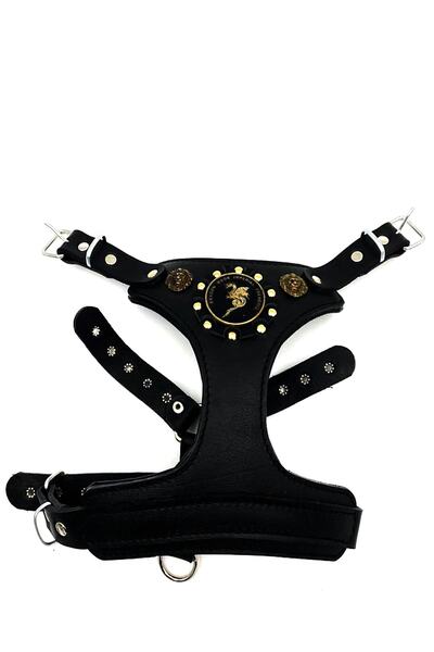 Tasma Market Küçük Irk Ve Yavru Köpekler Için Ejderhalı Deri Köpek Göğüs Tasması