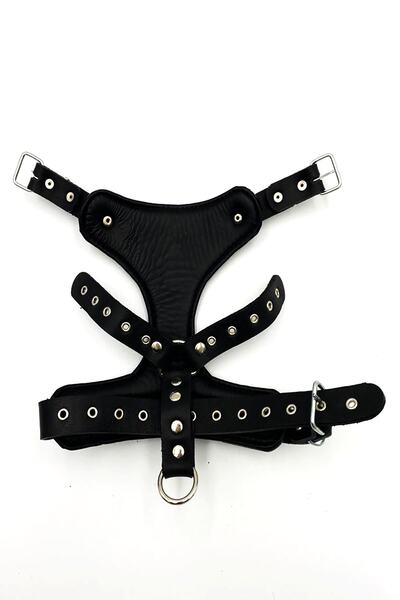 Tasma Market Küçük Irk Ve Yavru Köpekler Için Ejderhalı Deri Köpek Göğüs Tasması