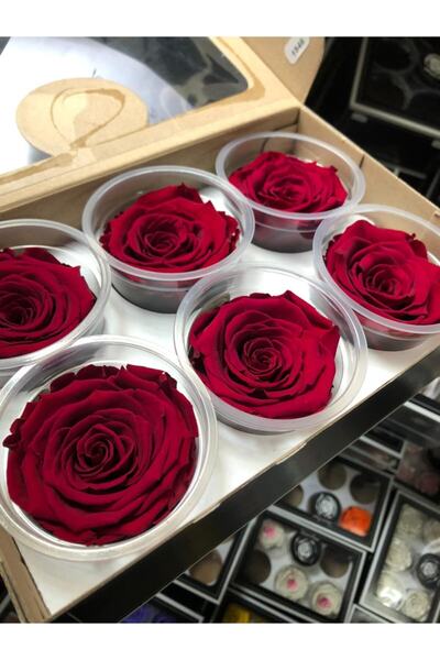 Rose Amor Solmayan Gül 6lı Xl