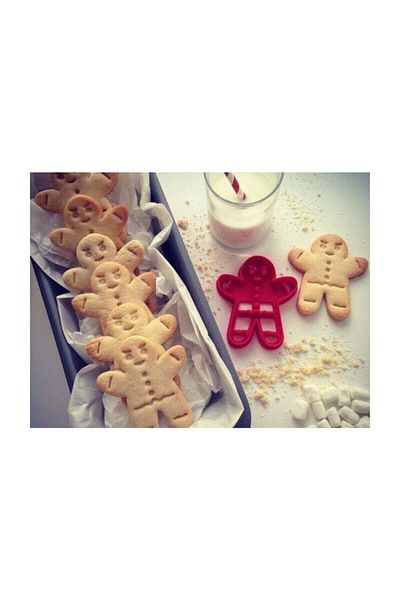 Rapithwin Gingerbread Cookie Cutter Mold