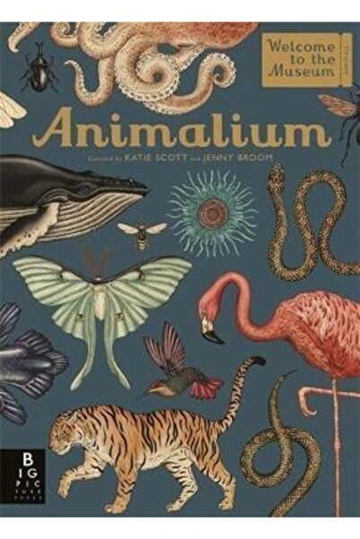 Genel Markalar Welcome To The Museum- Animalium