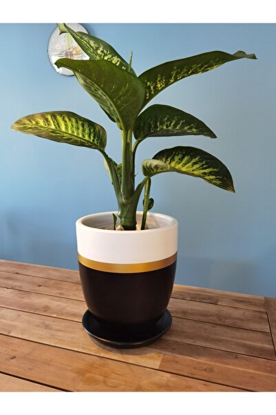 Balcony Flower 30 Cm Exclusive Salon Saksı