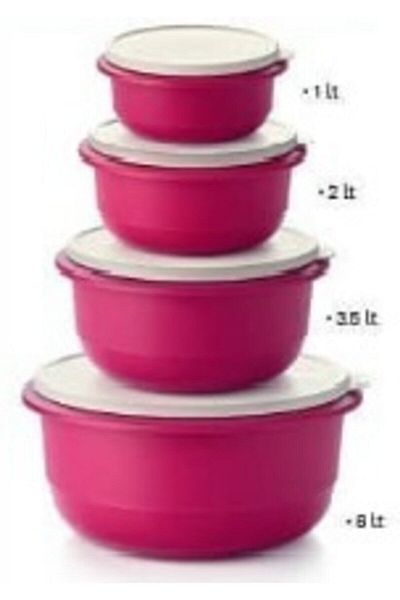 Tupperware Fuchsia Mixed Set of 4