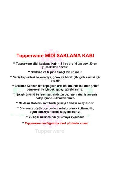 Tupperware Saklama Kutusu Peynir Kurabiye Beslenme Taşıma Kabı